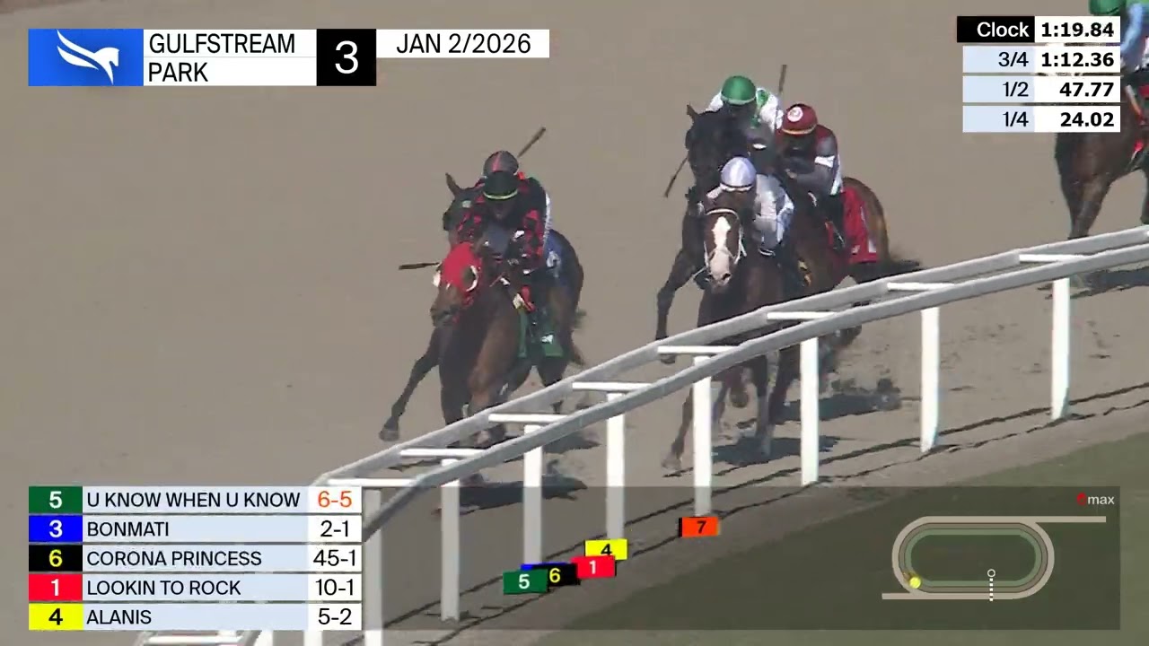 Повтор трансляции из Gulfstream Park | 2 января 2026 г.