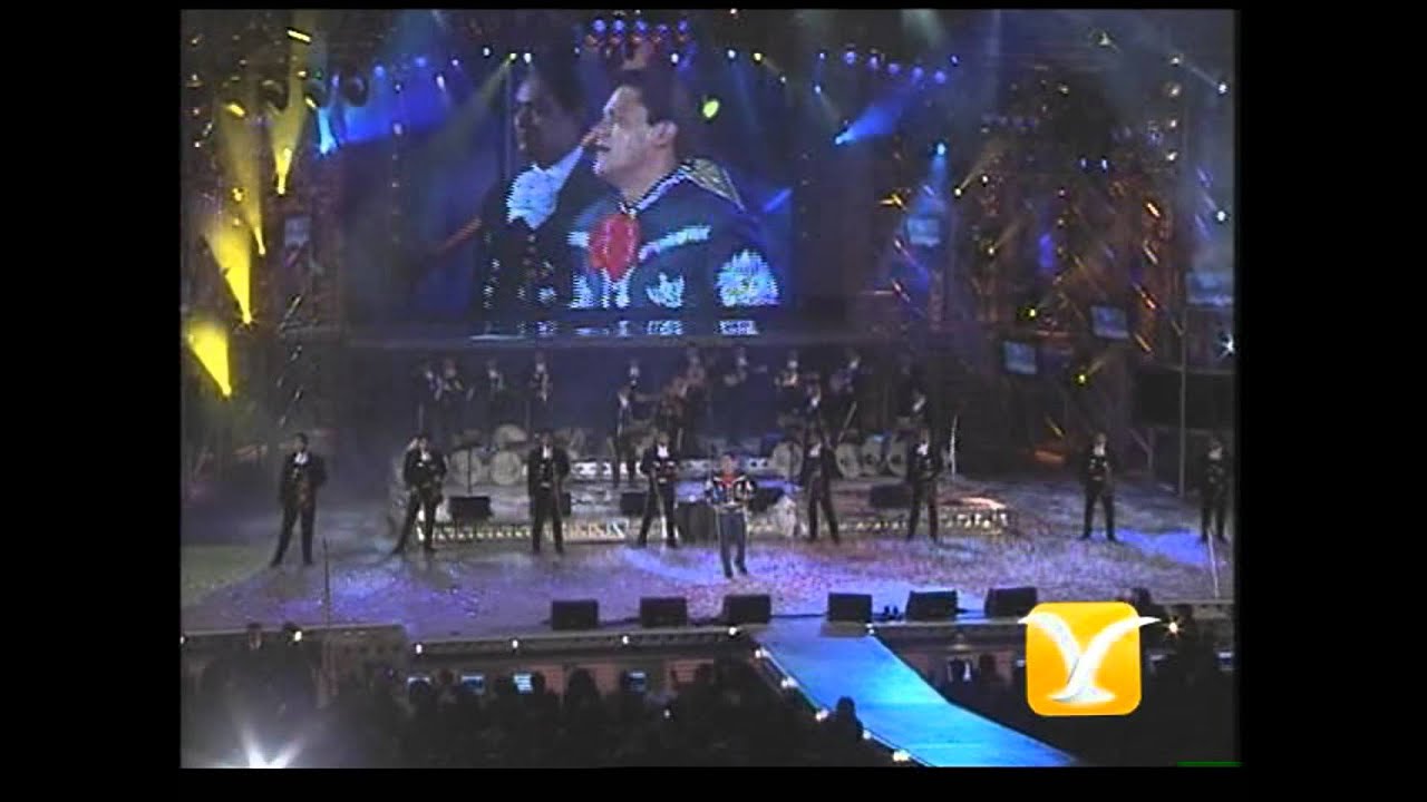 Pedro Fernandez, Yo no fui -  Mi forma de sentir, Festival de Viña 2001