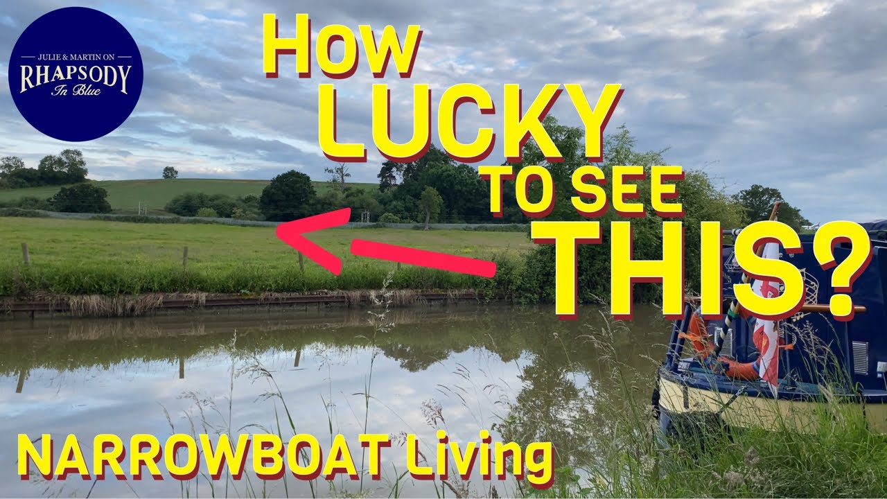 What’s over THERE? | So privileged to SEE THIS! | NARROWBOAT Living Ep101