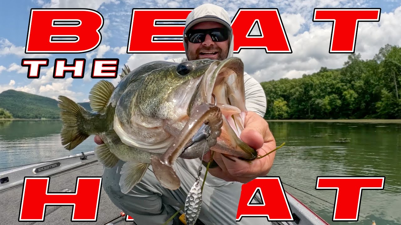 Beat The Heat! Tips To Catch More Bass Around Grass This Summer!