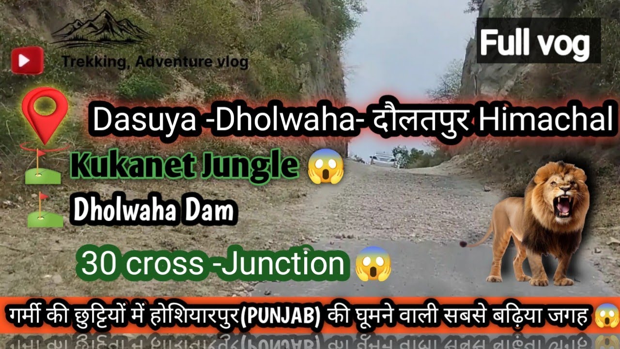 Dasuya to Daulatpur via Dholwaha Dam || Best Hiking & Trekking place in Hoshiarpur|| Full Fun