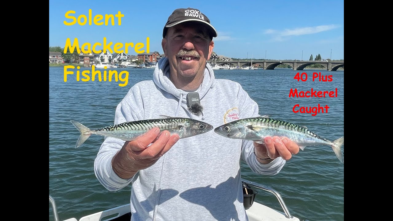 Solent Mackerel Fishing , 40 plus Mackerel caught