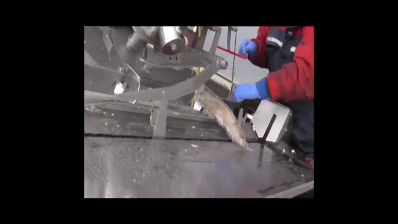 Baader 415 Round-cut heading machine for fish