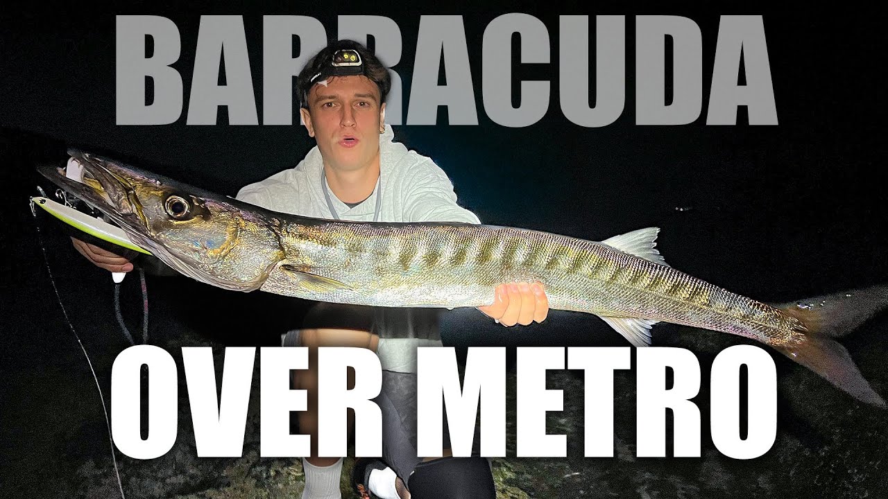 BARRACUDA OVER METRO in SCOGLIERA! - Spinning IN SHORE