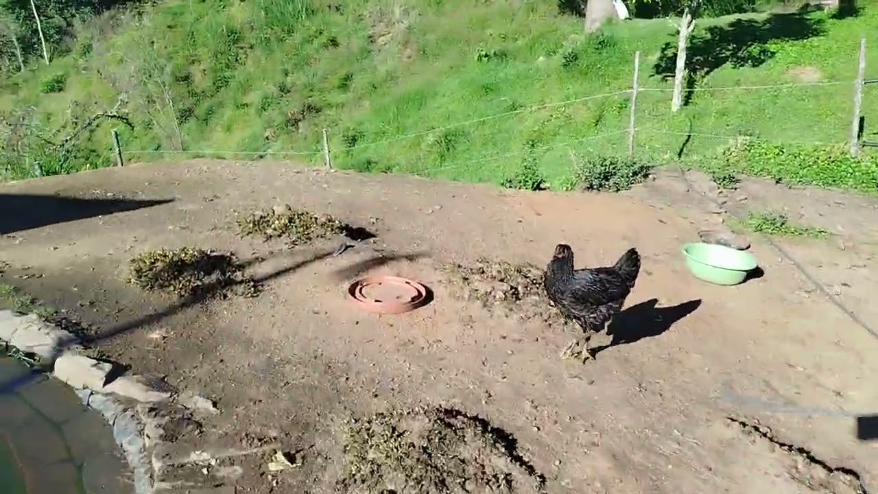 19 de febrero de 2026