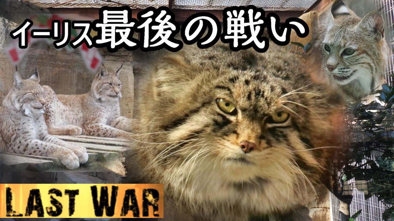 イーリス最後の戦い🔥LAST WAR