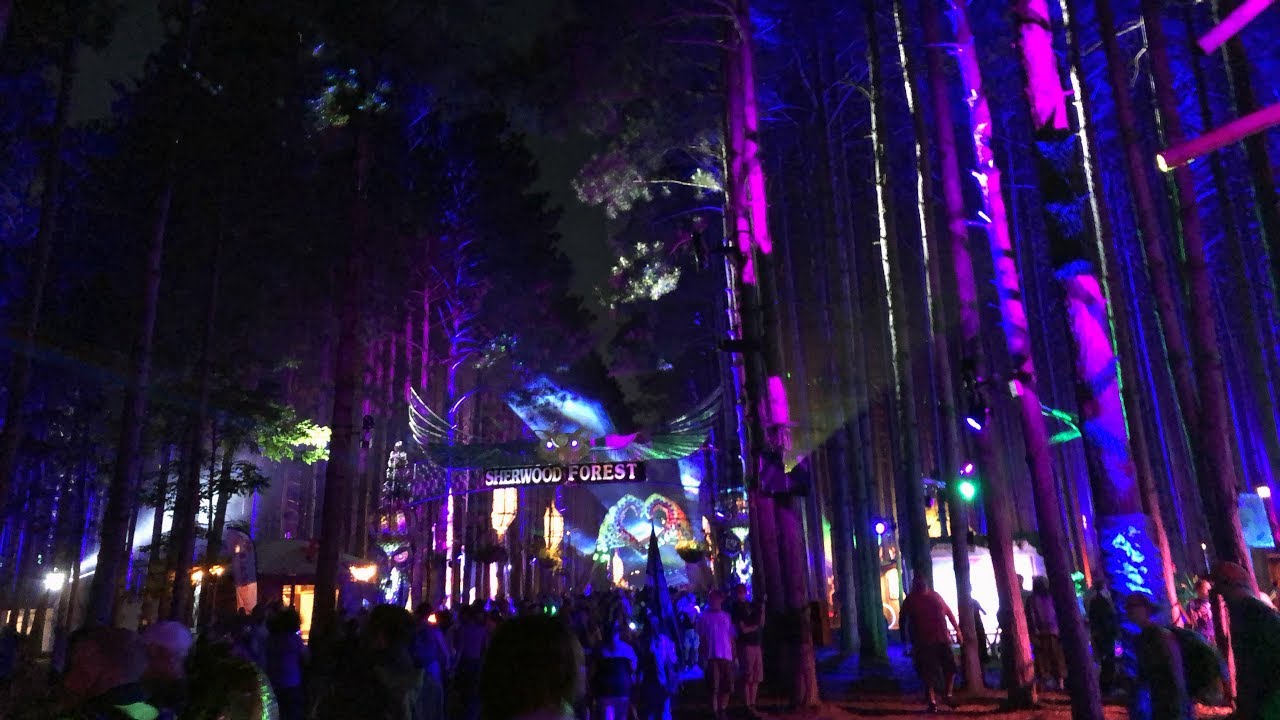Electric Forest 2018 at Night