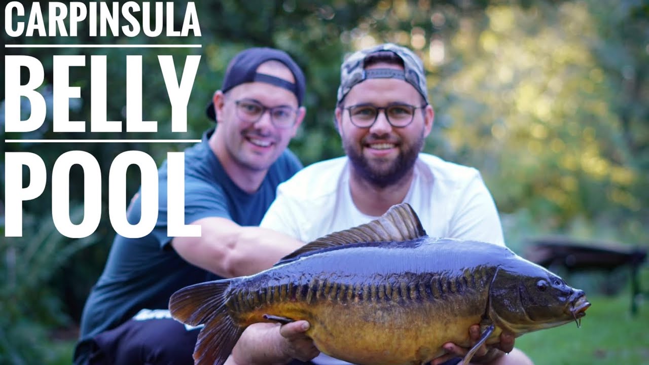 Karpfenangeln in Belgien // Carpinsula // Belly Pool // Karpfenangeln // Tagebuch 105
