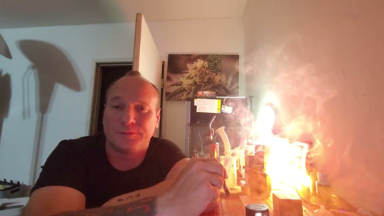 Whoa si whoa by heavy hitters collab with top shelf cultivation total sum of cannabinoids is 53.00