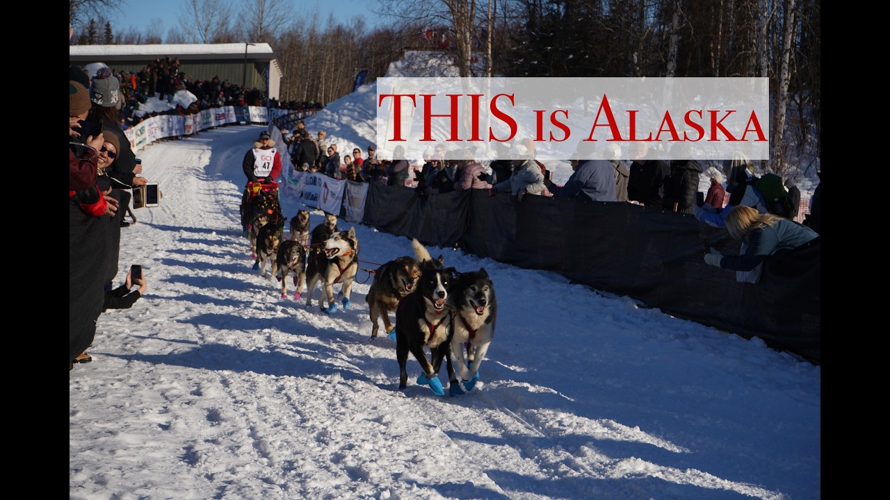 Inside Alaska’s Most Extreme Week: Iditarod + Fur Rondy #Iditarod2026#FurRondy #Anchorage