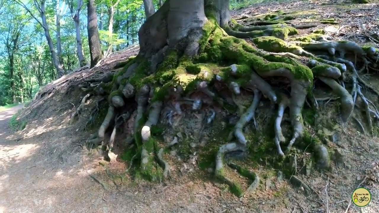 Panorama Runde   Elfringhauser Schweiz