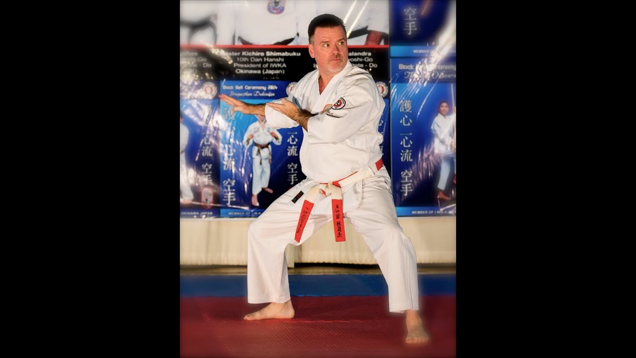 Isshin Ryu Knife Defense London 2014