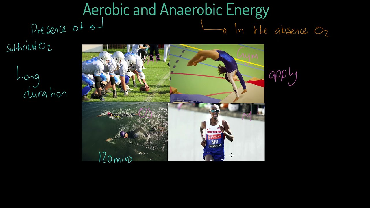AQA GCSE PE: Aerobic and anaerobic energy
