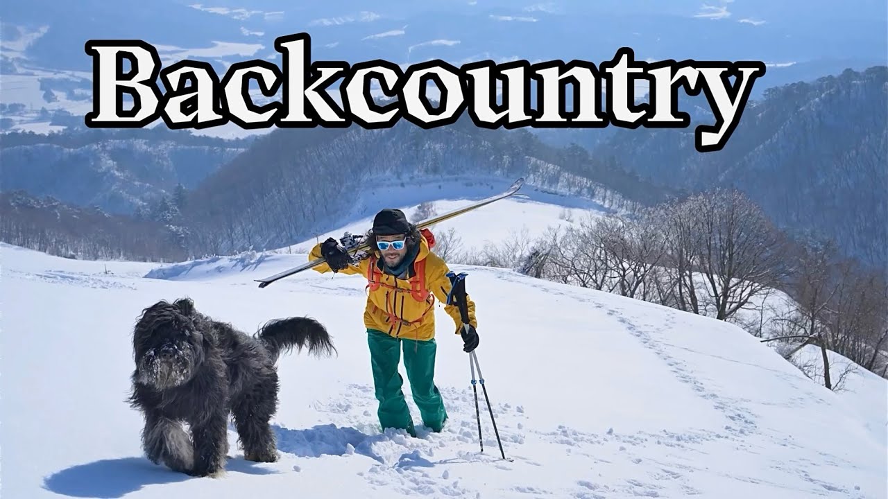 폭염에 보는 삽살개 대풍이와 겨울 대관령 암반데기  백컨트리 스키 backcountry