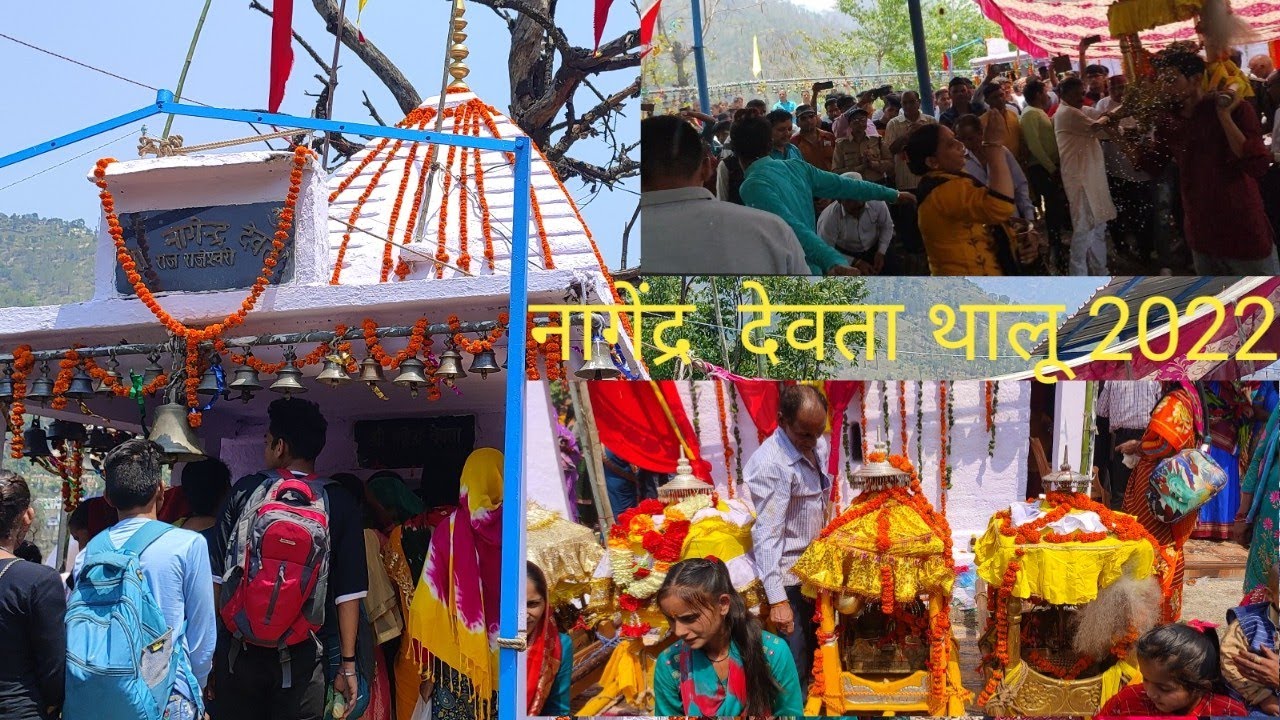 महेंद्र देवता जात पार्ट – 2 || 2022  महेन्द्र देवता थलू  malayakot nailchami