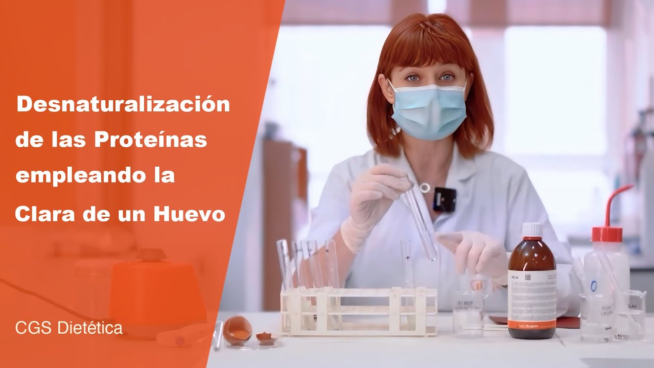 Desnaturalización de las proteínas