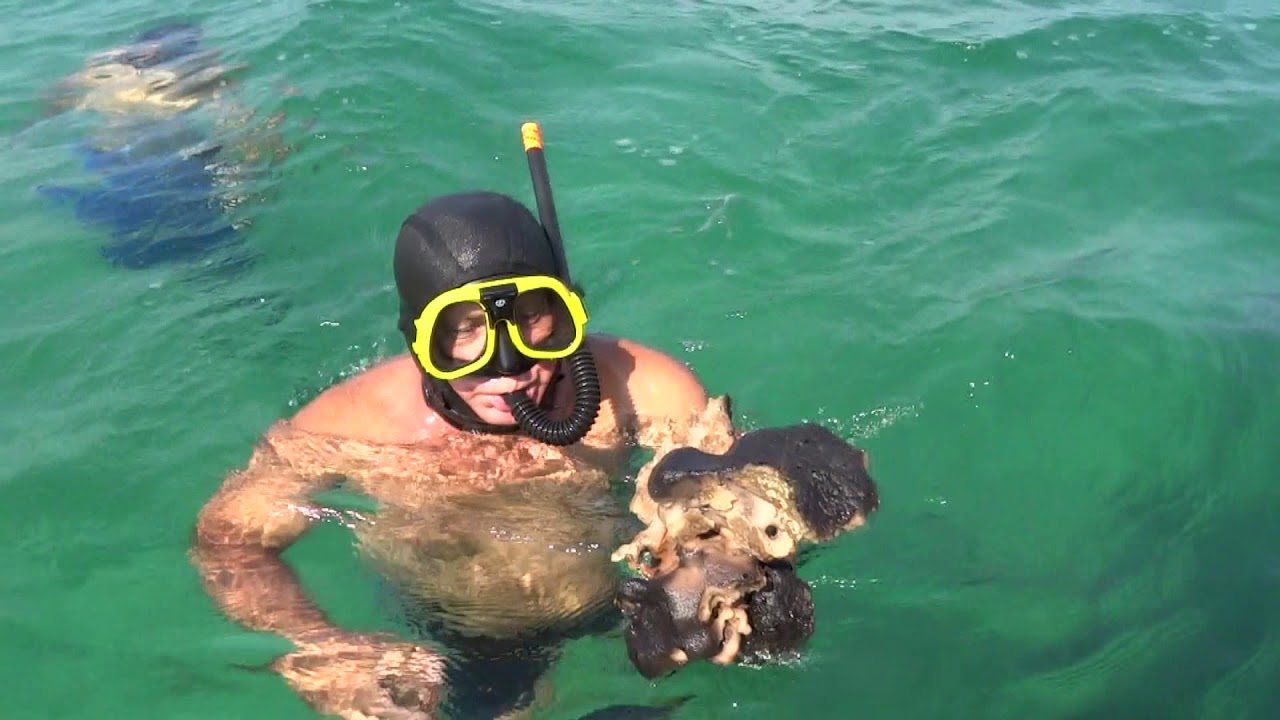 Ekinlik Adası Belgeseli