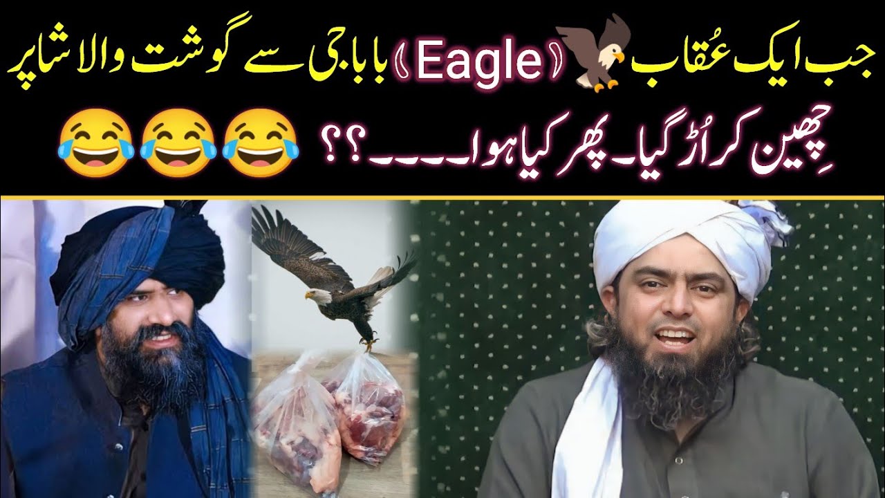 Aik Eagle aur Babay ki Kahani | Reply to Dr Suleman Misbahi on Fake Stories 😡😡