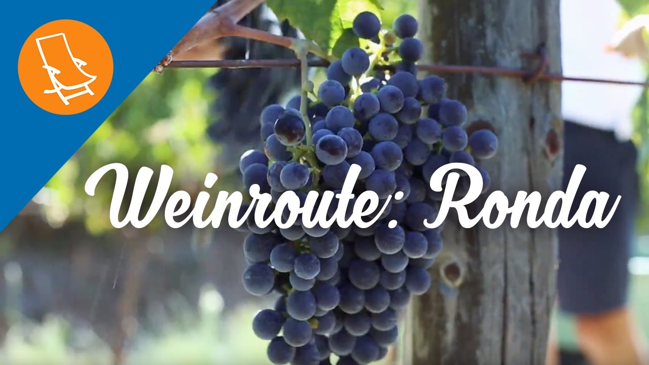 Weinroute: Entdecke Ronda und seine Weinberge