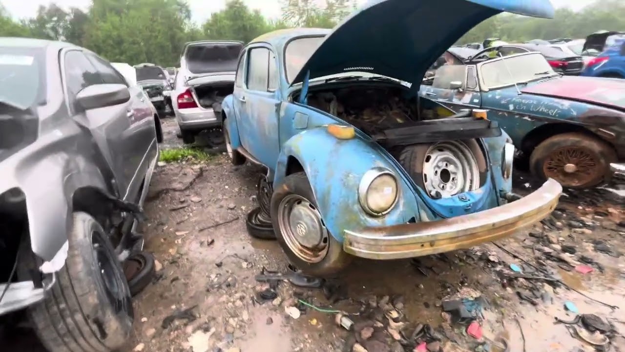 Walk around of 4 VW beetles at local junkyard