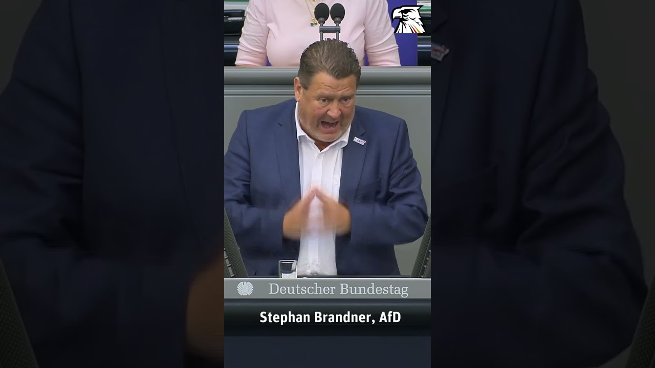 STEPHAN BRANDNER (AfD) RECHNET AB: &bdquo;Wer mit 40 noch Sozialist ist, hat KEINEN Verstand!&ldquo;