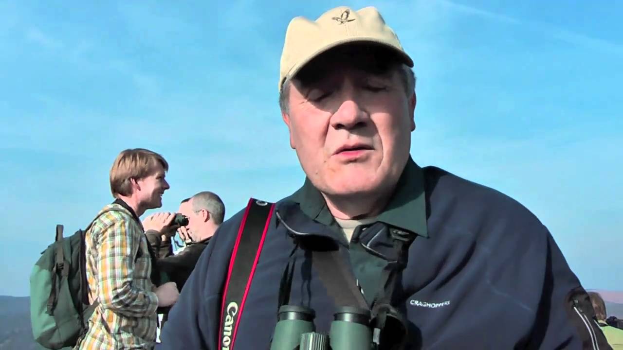 Swarovski EL50 Swarovision binoculars Field Test