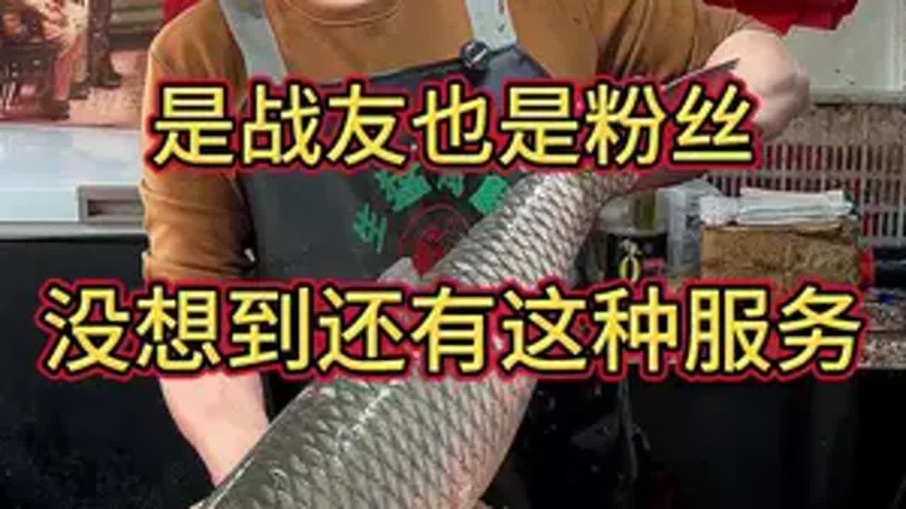 今日卖鱼日常，遇到了战友兼粉丝，给他来个五星级服务杀鱼技术 刀工 脆肉鲩
