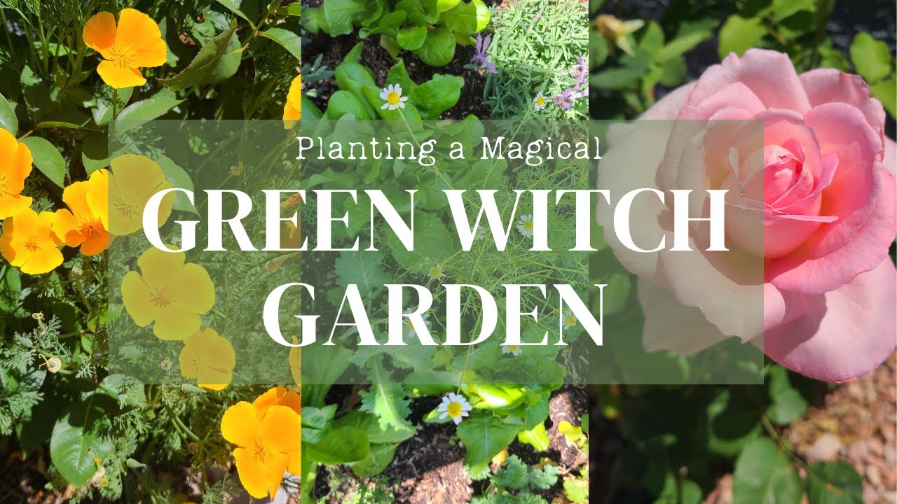 A Magical Green Witch Garden