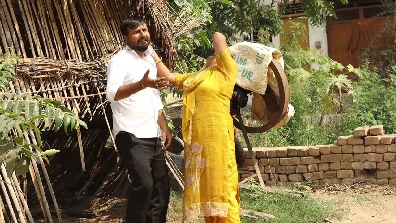 बहू ने किया झगड़ा गांव की भैंस के चक्कर में।damo chacha ki comedy sheetal gola ki comedy damo fufa 