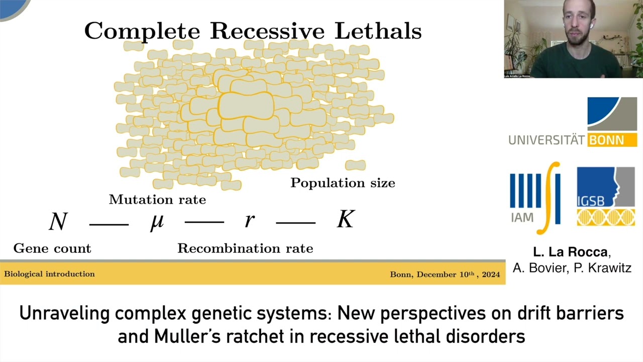 New perspectives on drift-barriers and Muller's ratchet in recessive lethal disorders