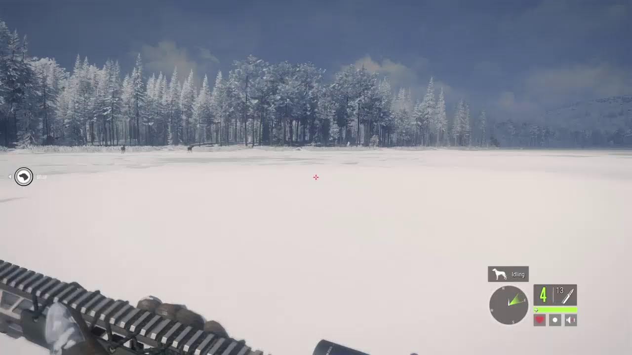 Hunter call of the wild 