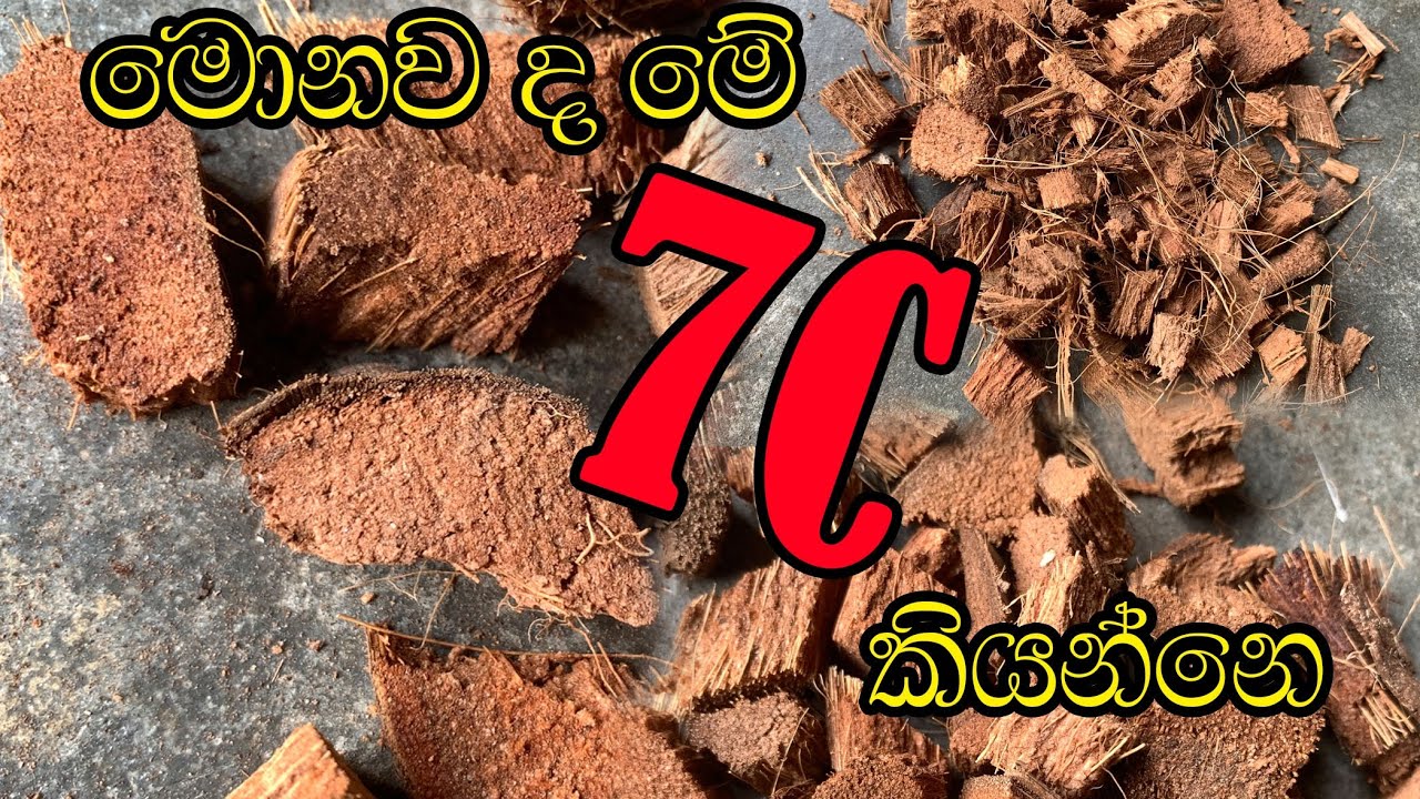 පොල්ලෙලි කැබලි size සහා නිවැරදිව කට්ට කෑලි දා ගන්න ආකාරය