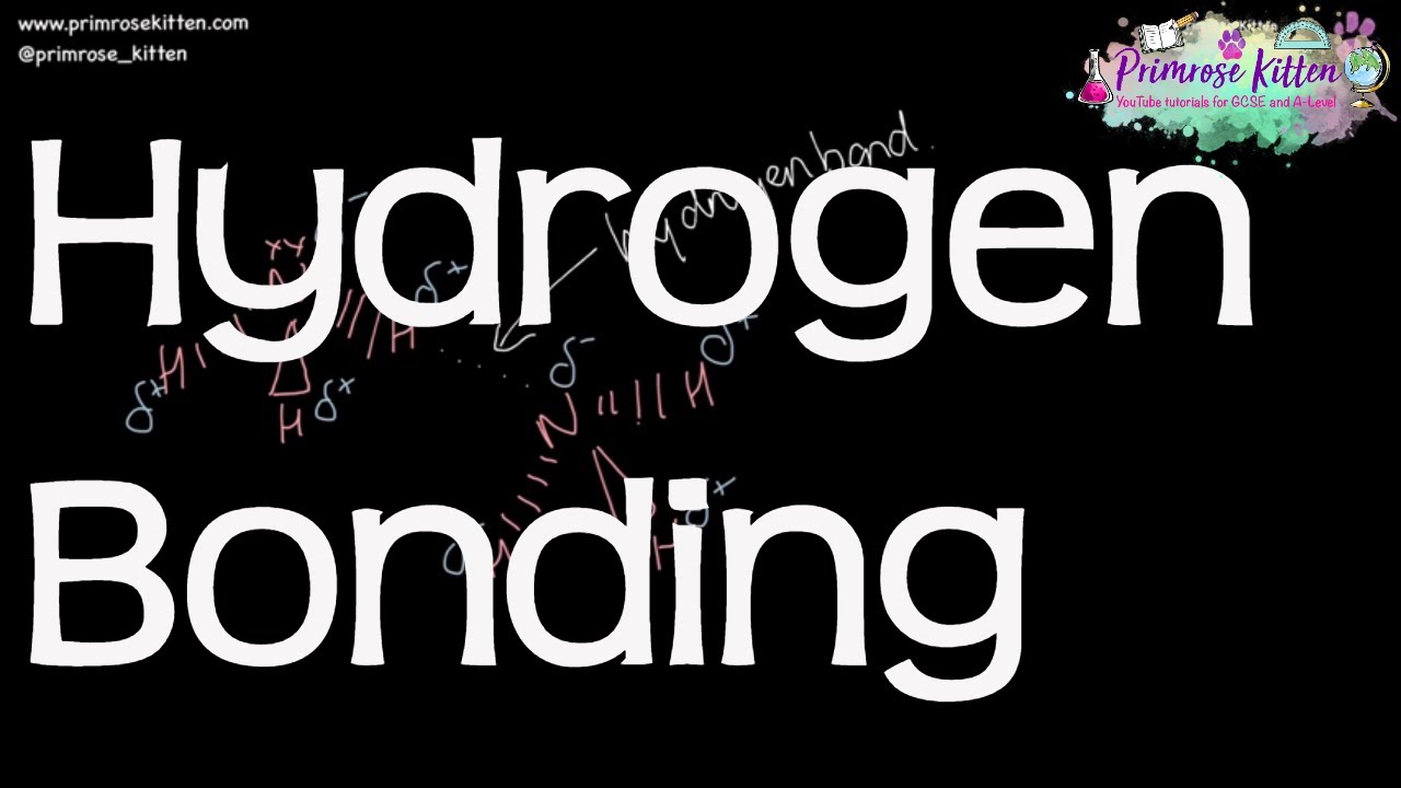 Hydrogen Bonding - Revision for A-Level Chemistry