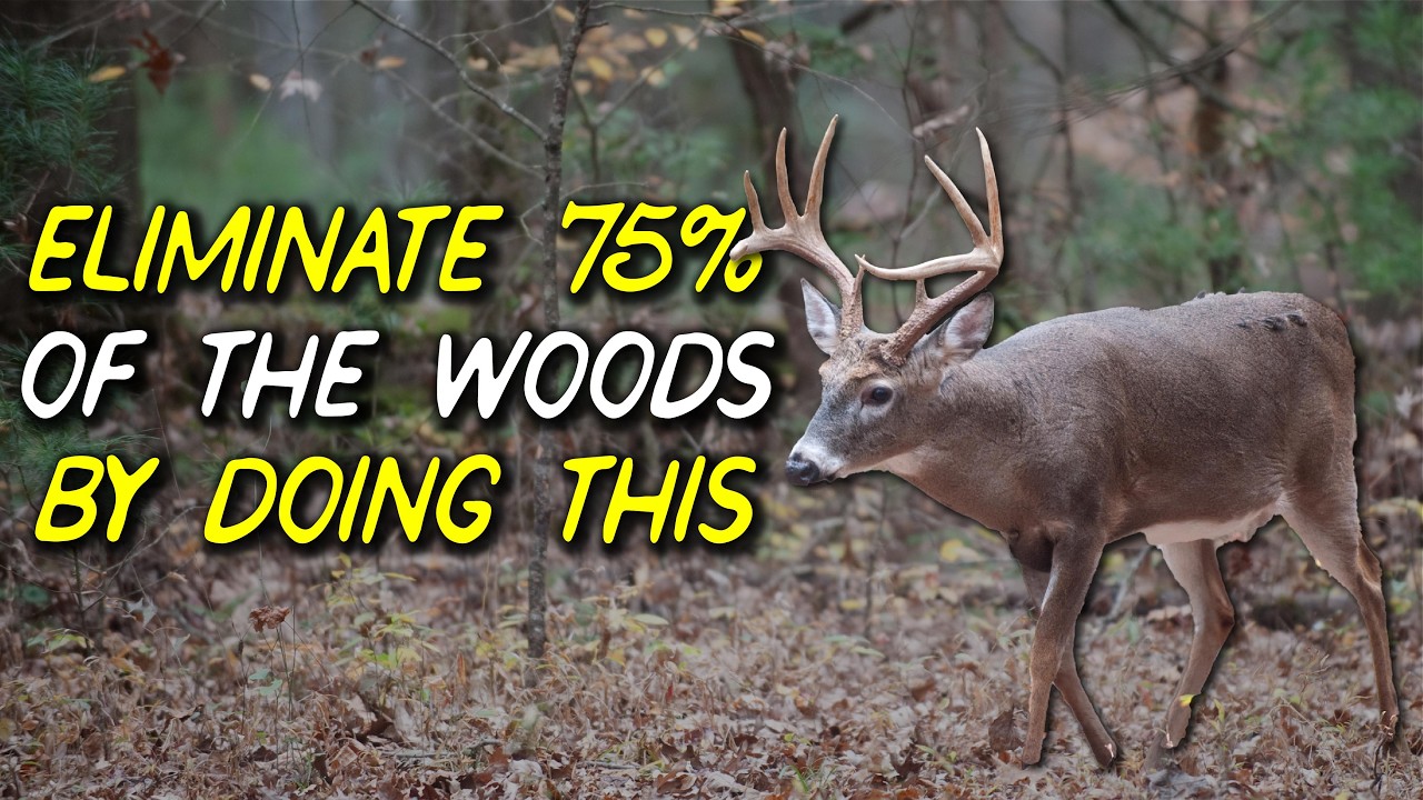 Most deer live in a SMALL percentage of the woods...and this is how you find them