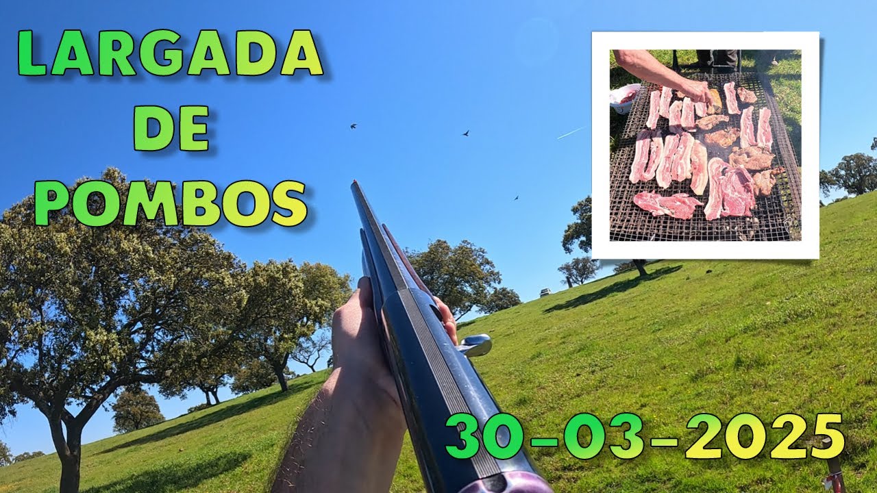 Largada de Pombos em Alvito - 600 Peças (30-03-2025)