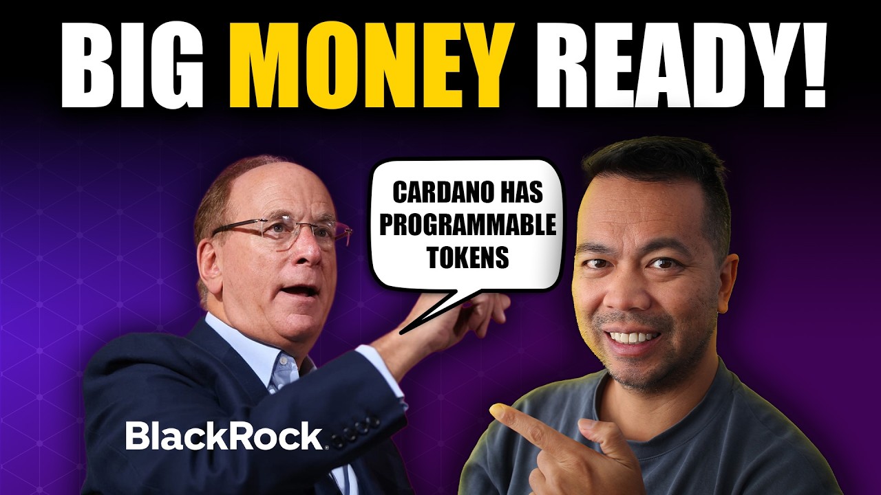 BlackRock Wants This: Cardano’s New Programmable Tokens