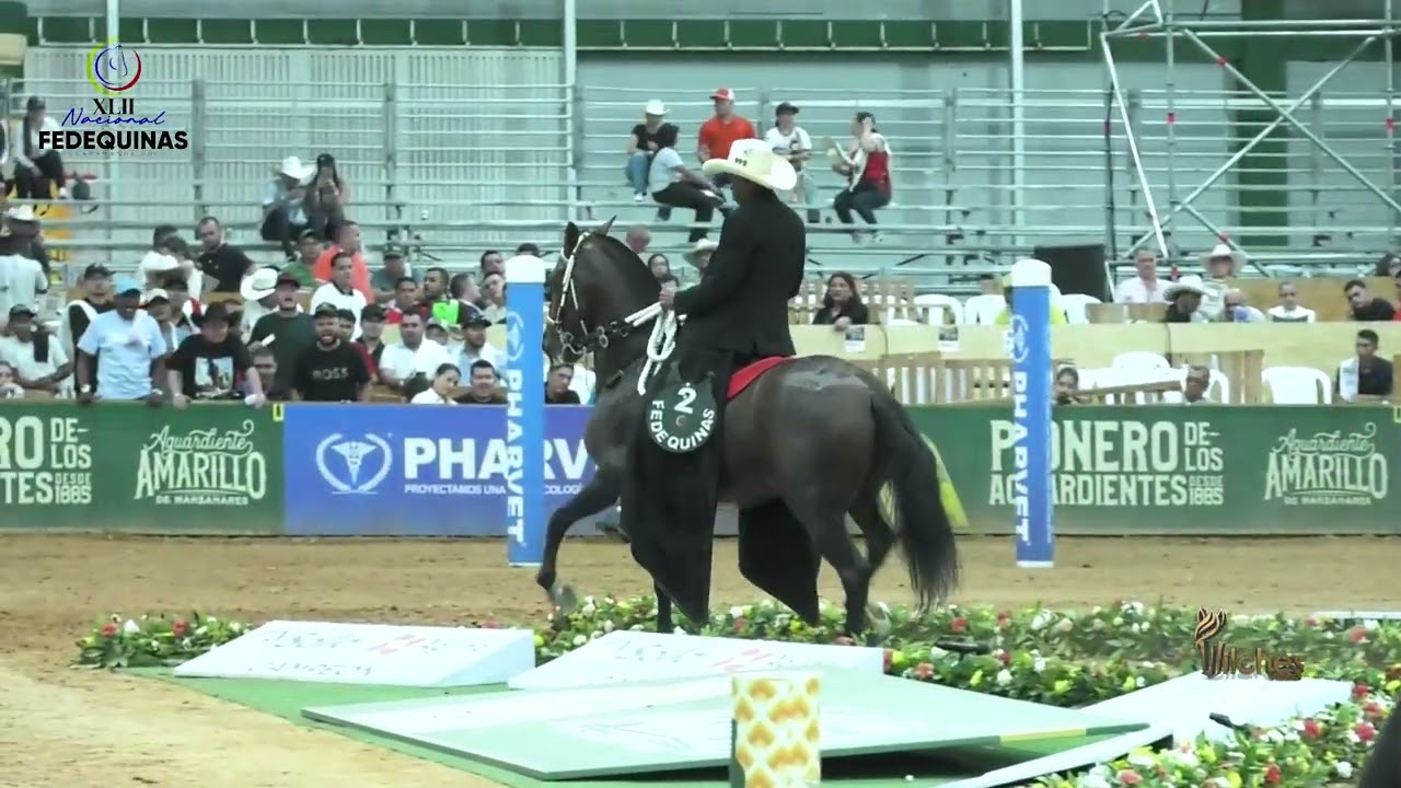 ODALIS DE LOS VIKINGOS, PRIMER PUESTO CAMPEONATO JOVEN TROCHA Y GALOPE EXPONACIONAL BUCARAMANGA 2026