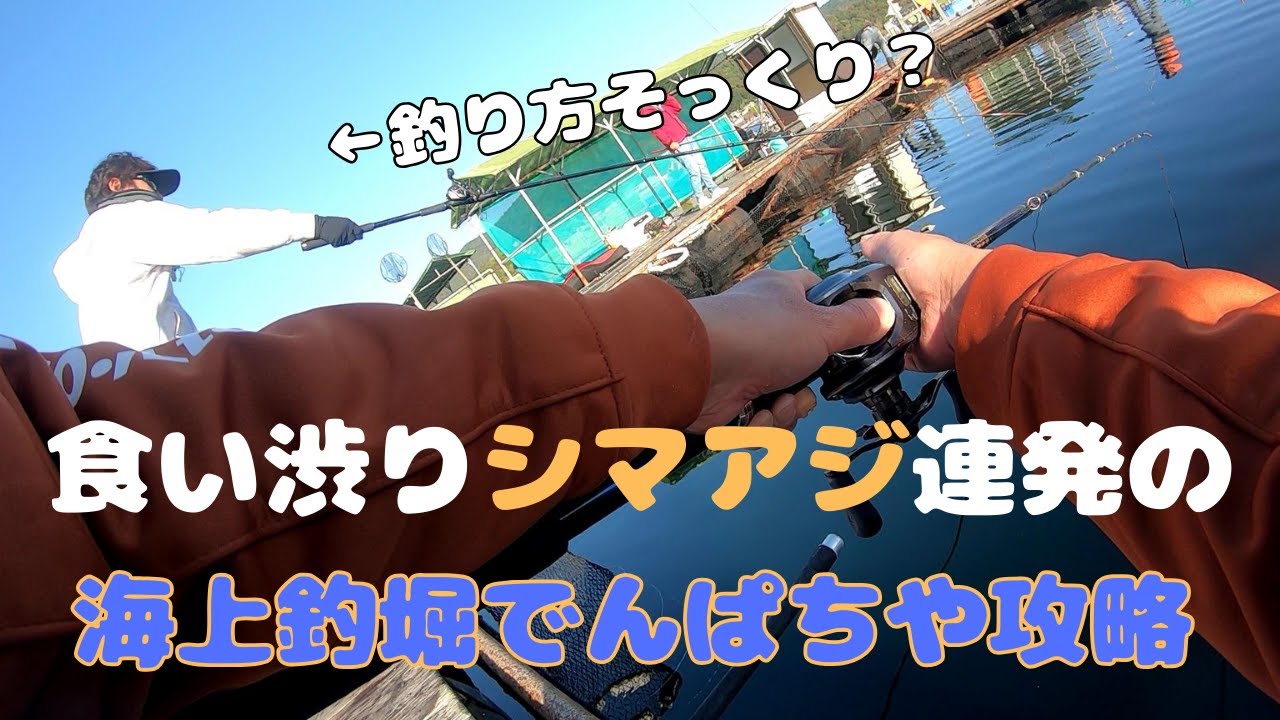 タ釣ルさんと傳八屋乗り合い釣行！後半シマアジ釣法の解説
