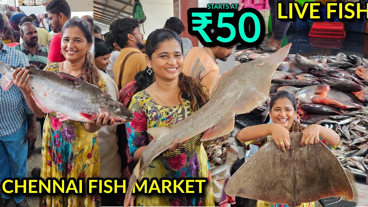 Chennai fish market | இப்படி எல்லாம் இருக்கா💥