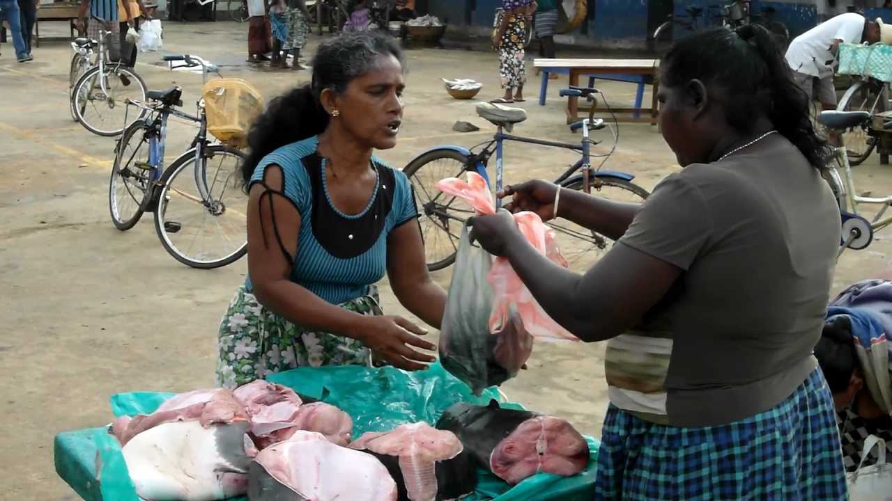 Sri-Lanka🇱🇰Negombo🦈fishmarket before Ocean🌞Шри-Ланка🇱🇰Негомбо🦈Рыбный рынок у Океана FullHD 1080p