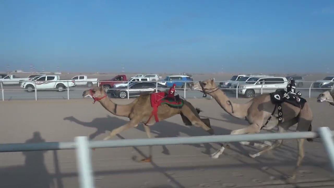 الشوط الثاني  ختامي ثمريت صيف 2025