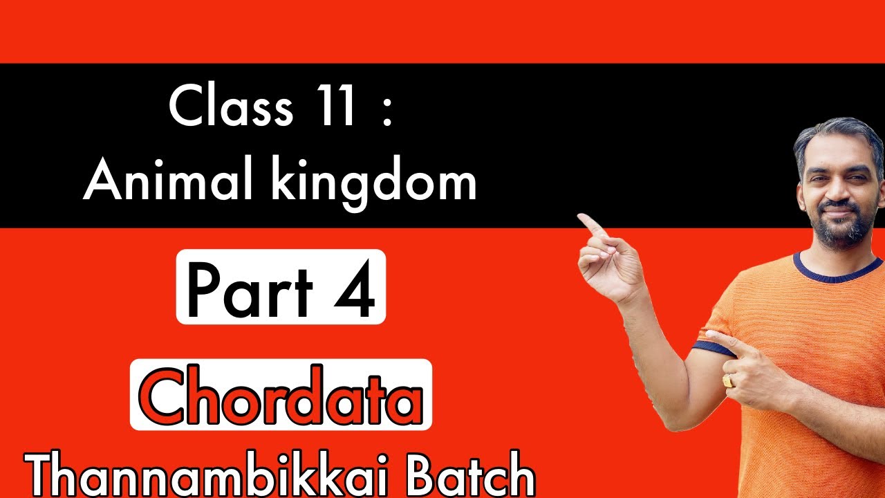 Animal Kingdom Class 11 | NCERT Line to line | Part 4 | Thannambikkai Batch