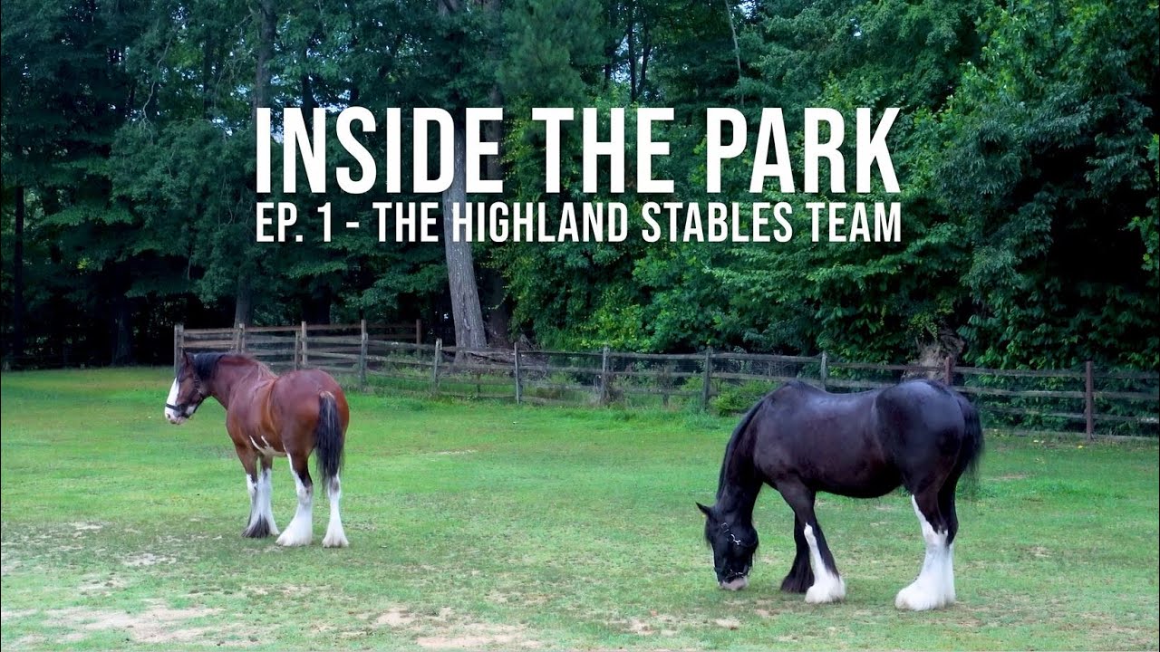 THE HIGHLAND STABLES TEAM AT BUSCH GARDENS &reg; | INSIDE THE PARK EP. 1