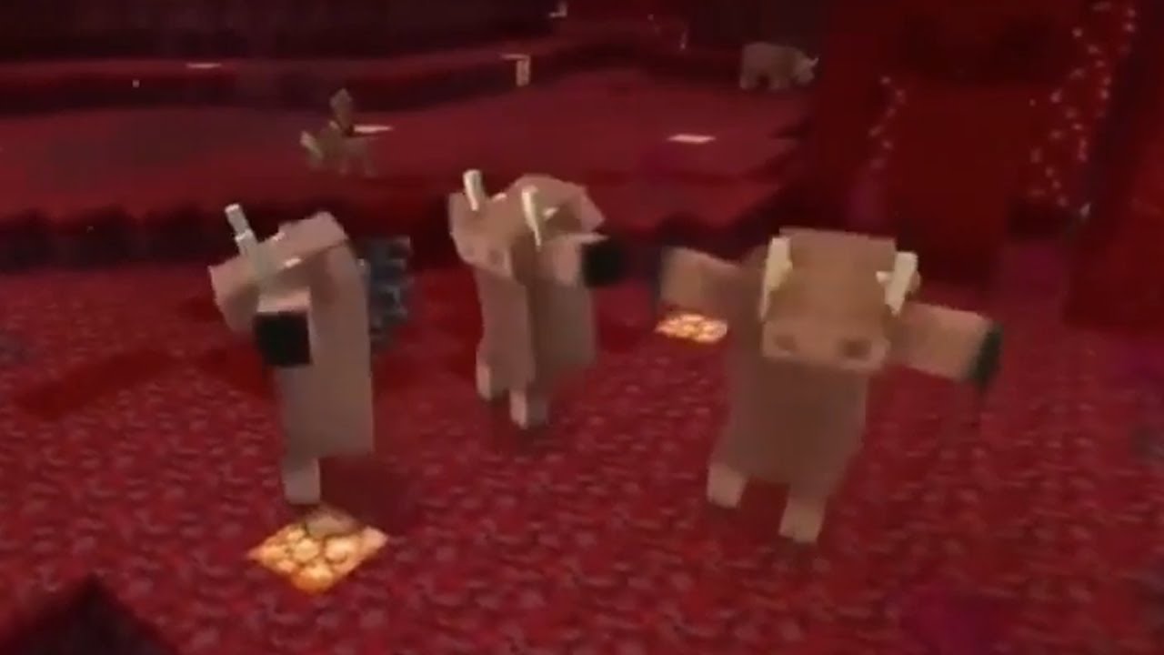yo y los +51 cuando ponen: