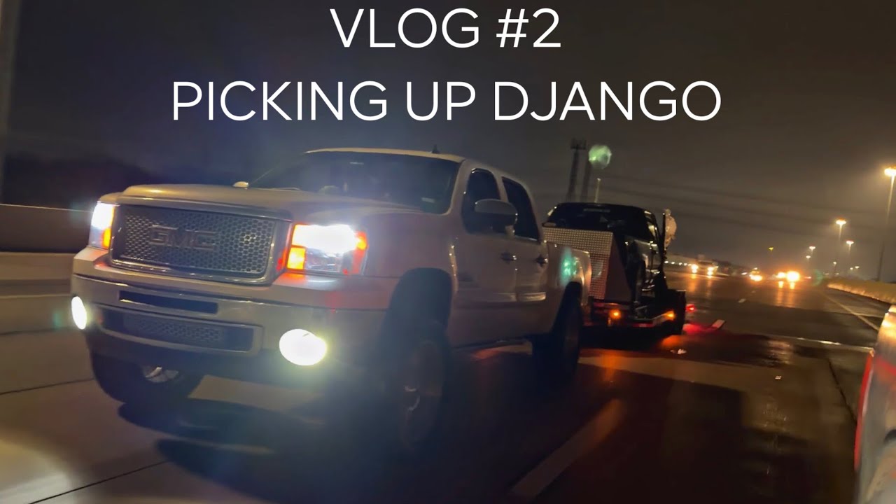 SHOP VLOG #2 PICKING UP DJANGO 