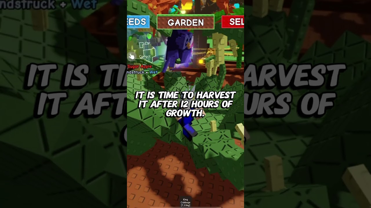Roblox Grow A Garden king cabbage! #roblox #growagarden #roadto2k