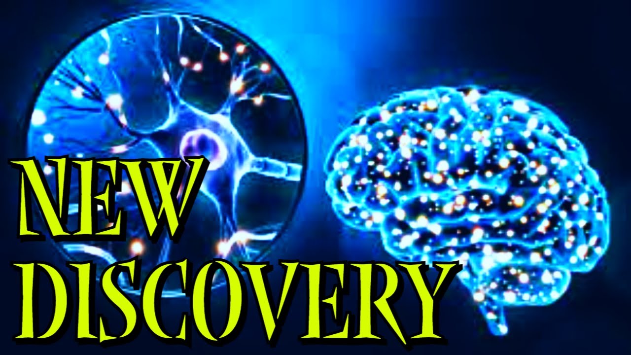 Electricity in Cells: New Discovery May Reveal Origin of Life