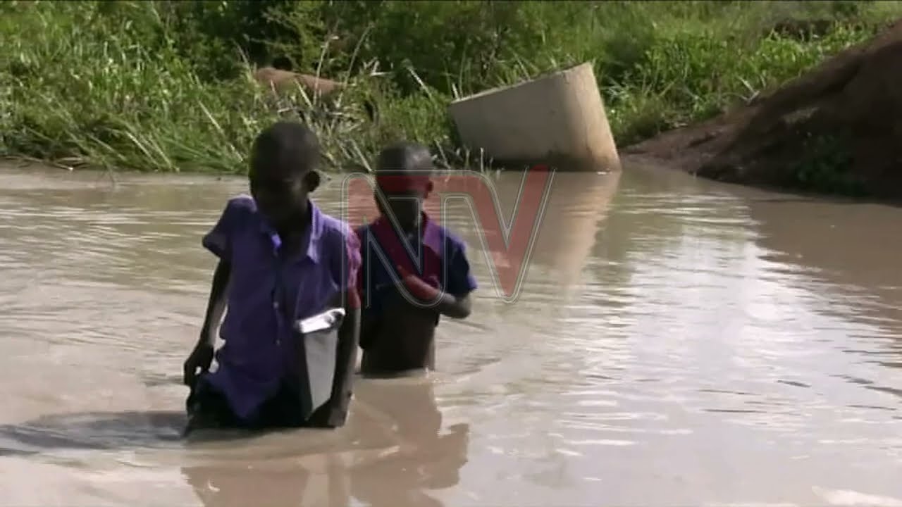 Minister calls for arrest of engineer over broken bridge