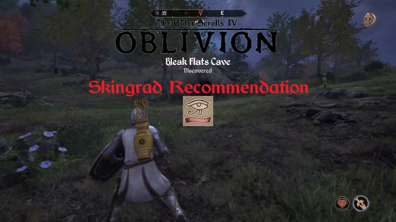 Elder Scrolls IV: Oblivion Remastered - Mages Guild Skingrad Recommendation