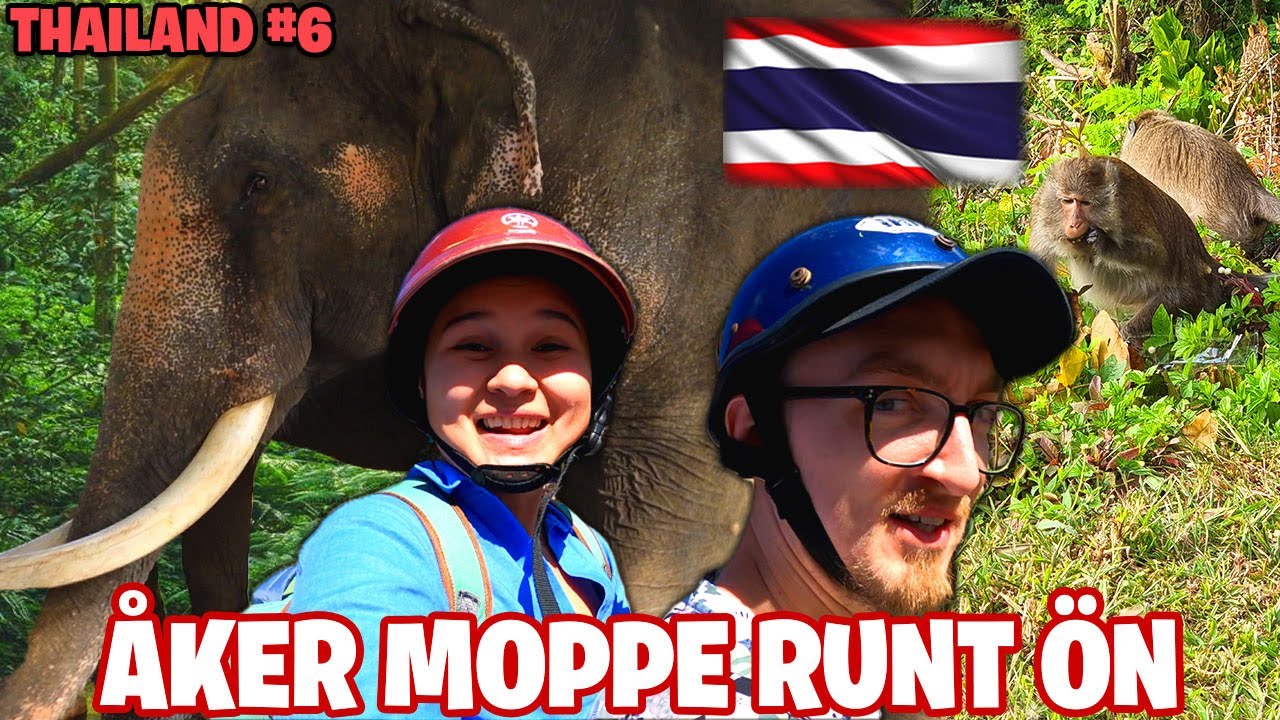 VI HITTAR ELEFANTER OCH APOR I THAILAND